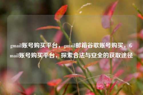 gmail账号购买平台，gmail邮箱谷歌账号购买，Gmail账号购买平台，探索合法与安全的获取途径