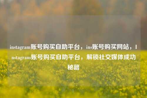 instagram账号购买自助平台，ins账号购买网站，Instagram账号购买自助平台，解锁社交媒体成功秘籍