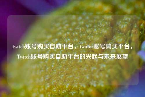 twitch账号购买自助平台，twiiter账号购买平台，Twitch账号购买自助平台的兴起与未来展望