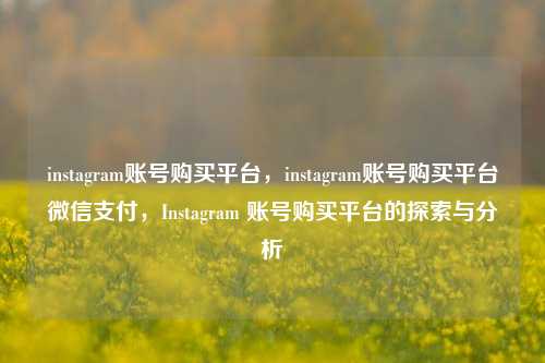 instagram账号购买平台，instagram账号购买平台微信支付，Instagram 账号购买平台的探索与分析