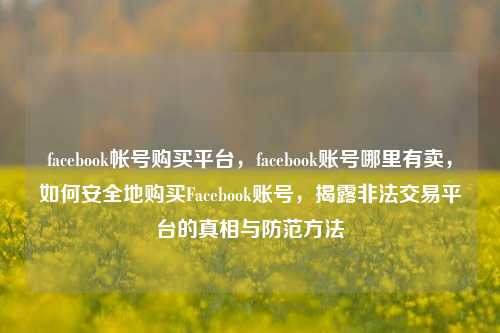 facebook帐号购买平台，facebook账号哪里有卖，如何安全地购买Facebook账号，揭露非法交易平台的真相与防范方法