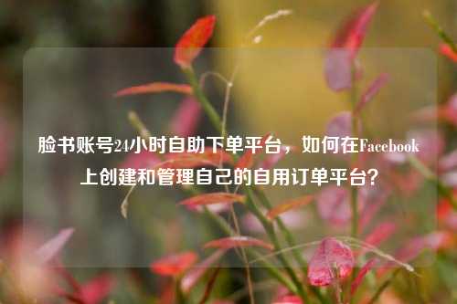 脸书账号24小时自助下单平台，如何在Facebook上创建和管理自己的自用订单平台？