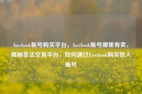 facebook帐号购买平台，facebook账号哪里有卖，揭秘非法交易平台，如何通过Facebook购买他人账号