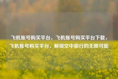 飞机账号购买平台，飞机账号购买平台下载，飞机账号购买平台，解锁空中旅行的无限可能