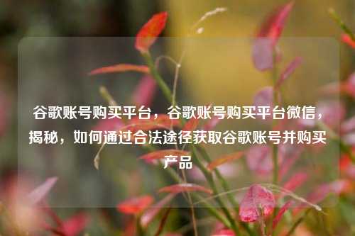 谷歌账号购买平台，谷歌账号购买平台微信，揭秘，如何通过合法途径获取谷歌账号并购买产品