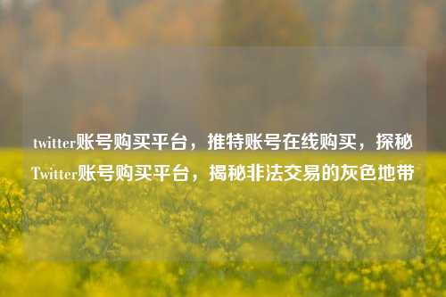 twitter账号购买平台，推特账号在线购买，探秘Twitter账号购买平台，揭秘非法交易的灰色地带