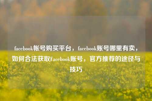 facebook帐号购买平台	，facebook账号哪里有卖，如何合法获取Facebook账号，官方推荐的途径与技巧  第1张
