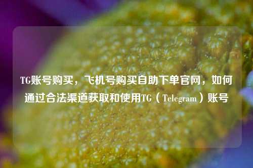 TG账号购买，飞机号购买自助下单官网，如何通过合法渠道获取和使用TG（Telegram）账号