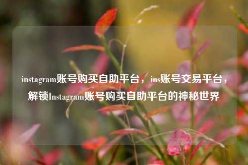 instagram账号购买自助平台，ins账号交易平台，解锁Instagram账号购买自助平台的神秘世界