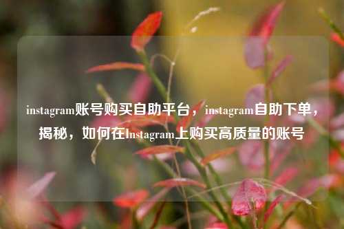 instagram账号购买自助平台，instagram自助下单，揭秘，如何在Instagram上购买高质量的账号