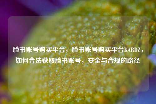 脸书账号购买平台，脸书账号购买平台KARDZ，如何合法获取脸书账号，安全与合规的路径