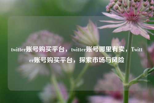 twitter账号购买平台，twitter账号哪里有卖，Twitter账号购买平台，探索市场与风险