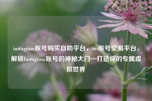 instagram账号购买自助平台，ins账号交易平台，解锁Instagram账号的神秘大门—打造你的专属虚拟世界