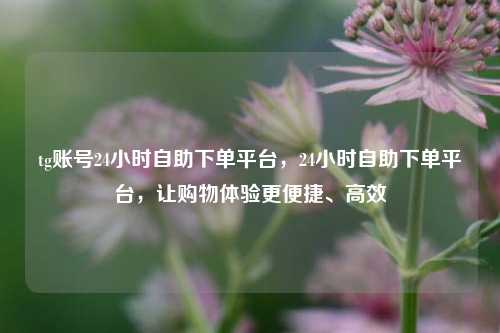 tg账号24小时自助下单平台，24小时自助下单平台，让购物体验更便捷、高效