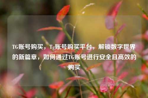 TG账号购买，Tg账号购买平台，解锁数字世界的新篇章，如何通过TG账号进行安全且高效的购买