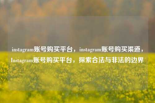 instagram账号购买平台，instagram账号购买渠道，Instagram账号购买平台，探索合法与非法的边界