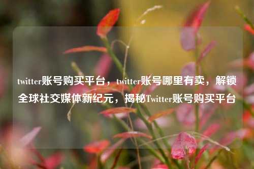 twitter账号购买平台，twitter账号哪里有卖，解锁全球社交媒体新纪元，揭秘Twitter账号购买平台