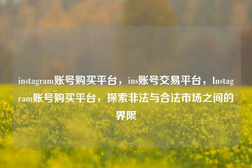 instagram账号购买平台，ins账号交易平台，Instagram账号购买平台，探索非法与合法市场之间的界限