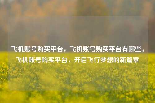 飞机账号购买平台，飞机账号购买平台有哪些，飞机账号购买平台，开启飞行梦想的新篇章