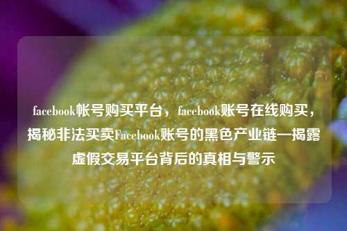 facebook帐号购买平台，facebook账号在线购买，揭秘非法买卖Facebook账号的黑色产业链—揭露虚假交易平台背后的真相与警示