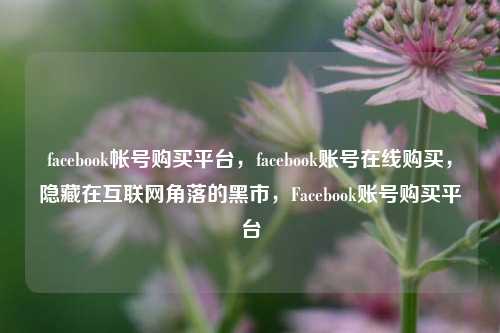 facebook帐号购买平台，facebook账号在线购买，隐藏在互联网角落的黑市，Facebook账号购买平台