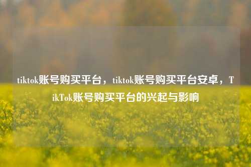 tiktok账号购买平台，tiktok账号购买平台安卓，TikTok账号购买平台的兴起与影响