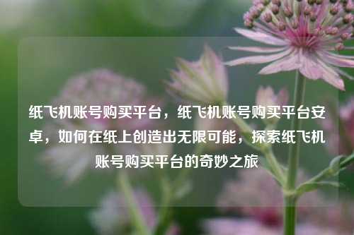 纸飞机账号购买平台，纸飞机账号购买平台安卓，如何在纸上创造出无限可能，探索纸飞机账号购买平台的奇妙之旅