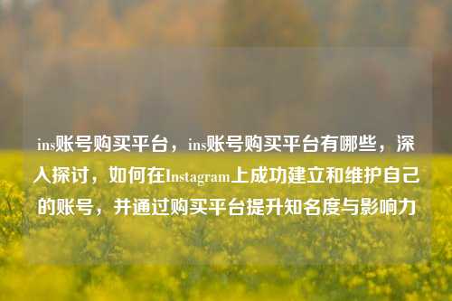 ins账号购买平台，ins账号购买平台有哪些，深入探讨，如何在Instagram上成功建立和维护自己的账号，并通过购买平台提升知名度与影响力