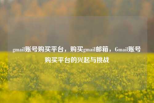 gmail账号购买平台，购买gmail邮箱	，Gmail账号购买平台的兴起与挑战  第1张