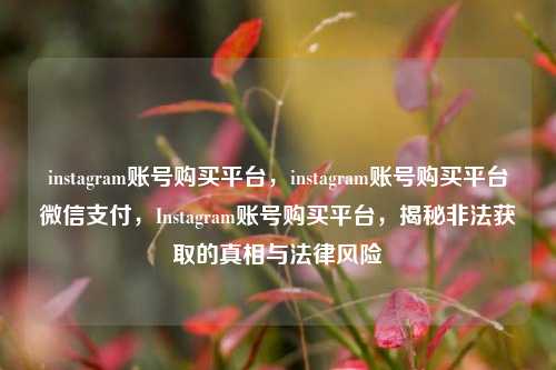 instagram账号购买平台	，instagram账号购买平台微信支付，Instagram账号购买平台，揭秘非法获取的真相与法律风险  第1张