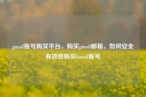 gmail账号购买平台，购买gmail邮箱，如何安全有效地购买Gmail账号